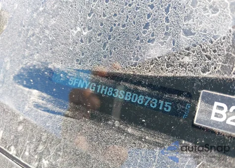 2025 Honda Pilot Elite from USA, damaged, VIN 5FNYG1H83SB087315